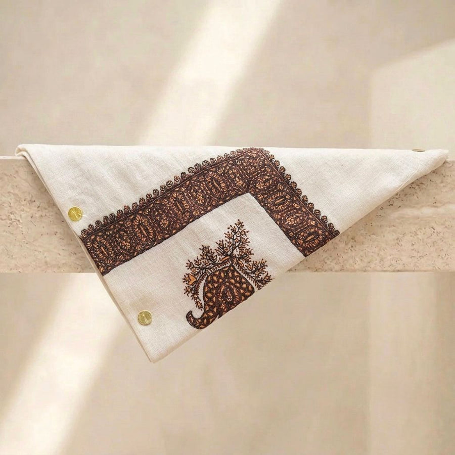 Pashmina Shawl