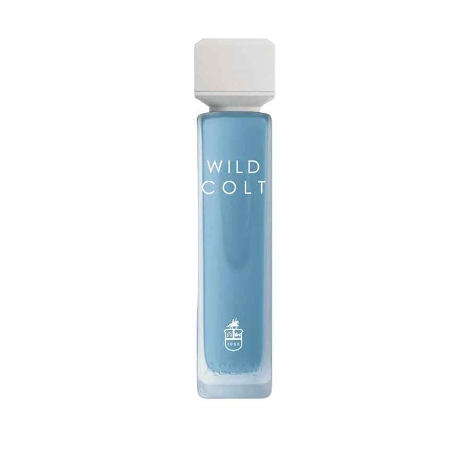 Wild colt Assaf